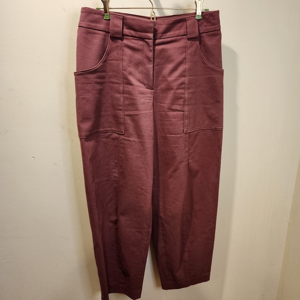 EXPRESS tapered Ankle Stylish  Pants Size 8